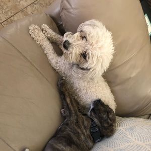 Meet your Posher, Cristina